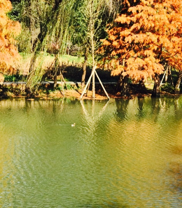 曼德夫(亚细亚店)