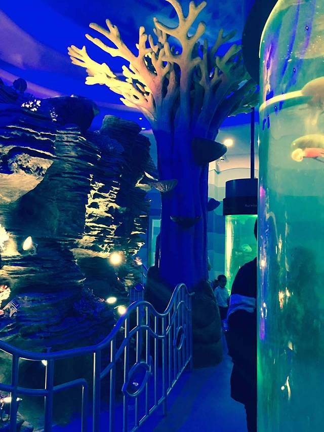 台隆港饮吧(堕落街店)