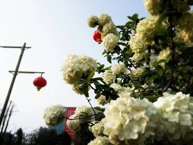 湘潭市烈士陵园