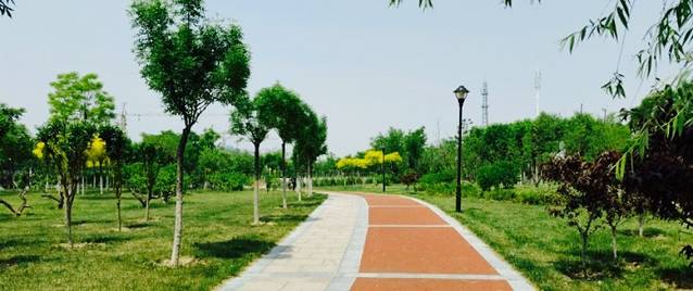 张家窝镇滨河公园