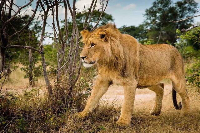 热气球猎游出发点