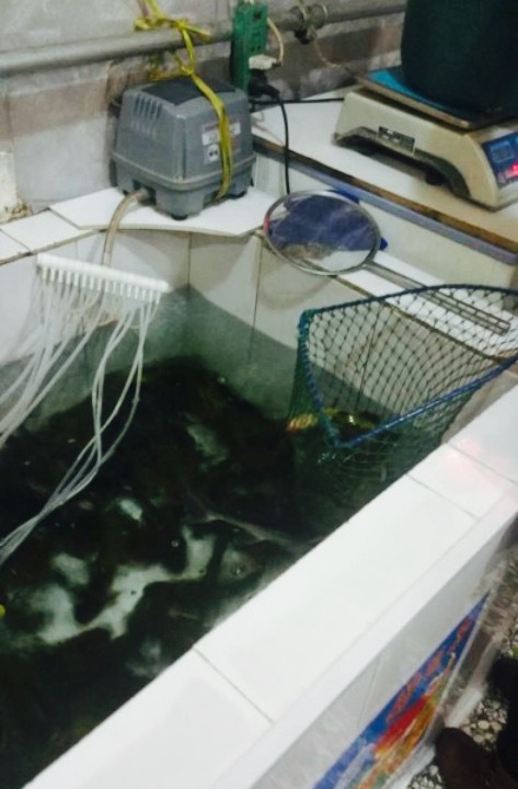 木火铁锅炖(大同总店)