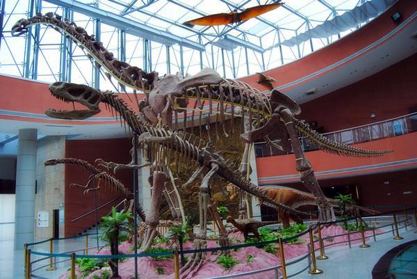 恐龙化石展馆