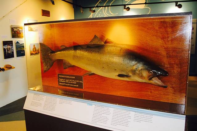 Icelandic Salmon Center