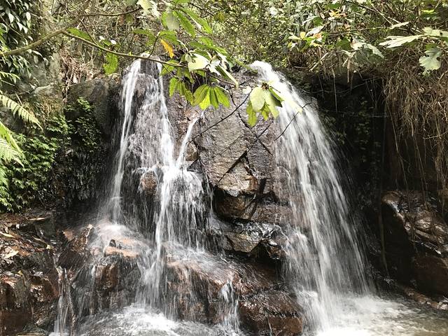 福瑞喜海鲜餐厅