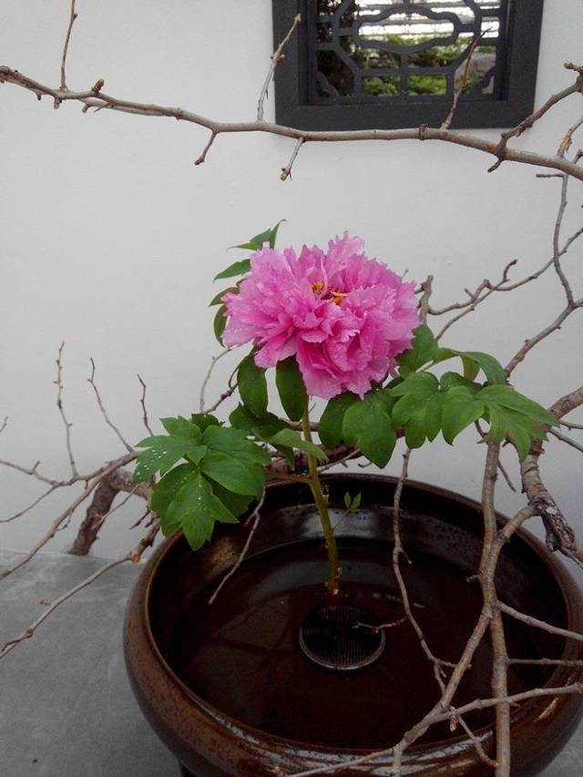 百福园烤鸭·新京菜(天兰商场店)