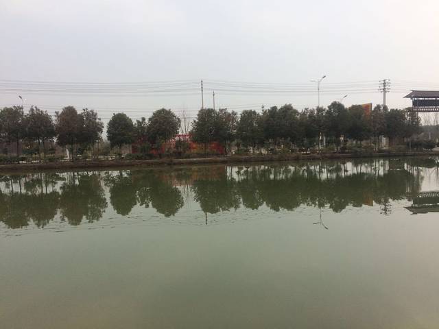 安徽外国语学院