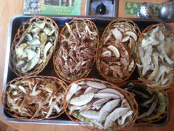 翠竹园野生菌火锅店