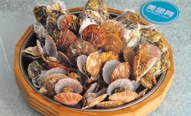 味到1981日照小海鲜