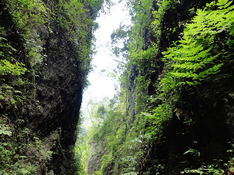 一线天旅游景点图片