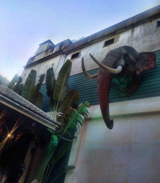 Buddy Beer Wine Bar and Grill