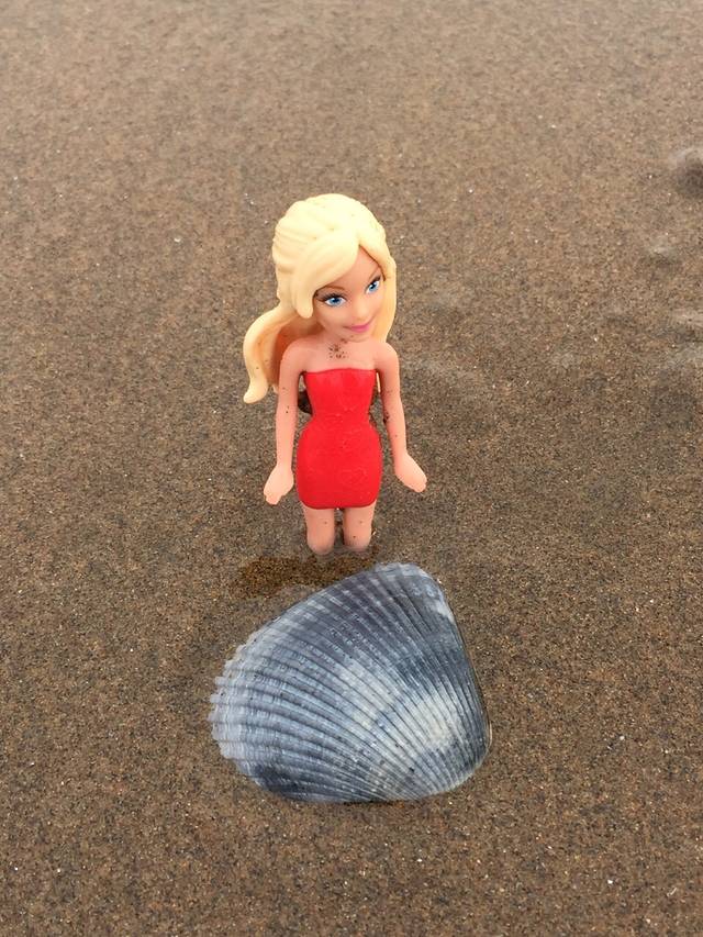 上海杉达学院(金海校区)-古李园