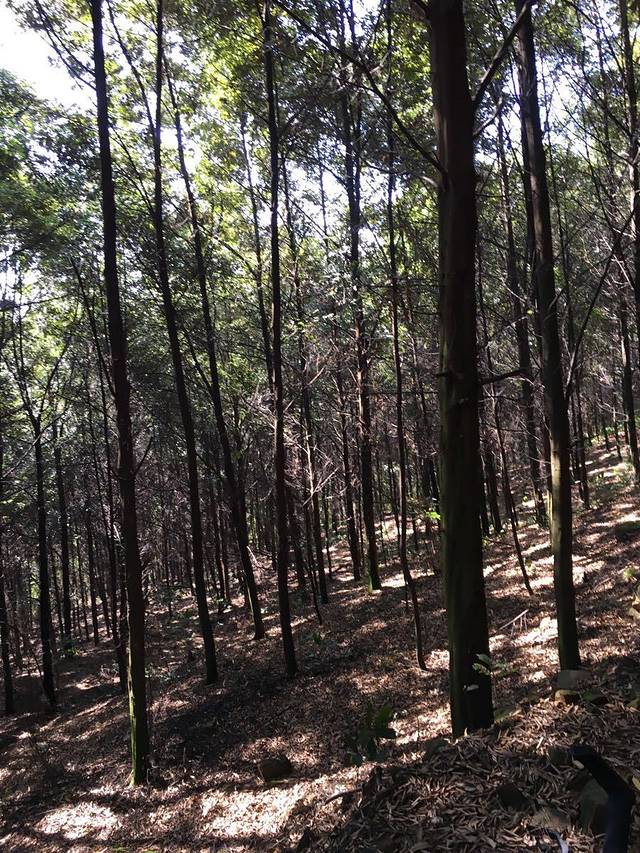 文笔山