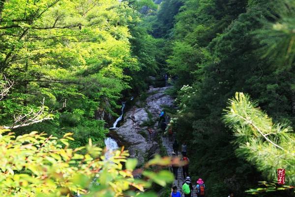 秦岭和谐森林公园