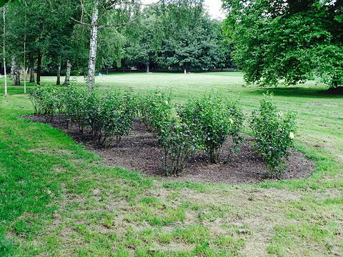 Gruneburgpark
