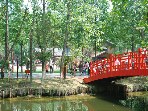 湿地公园旅游景点图片