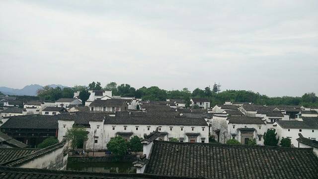 古街饭店(八卦村店)