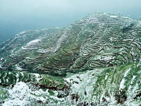 大黑山森林公园