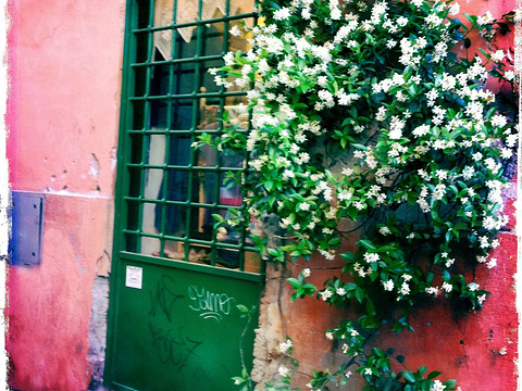 特拉斯提弗列旅游景点图片