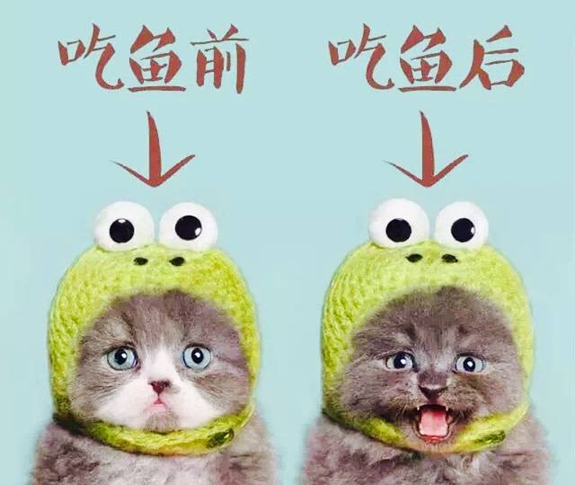 王氏美食城(幸福大道店)