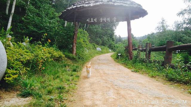 李孝石文学之林