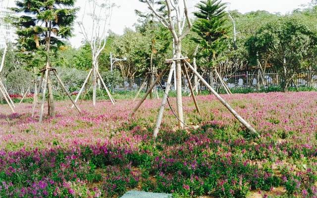 厦门儿童公园(二期)