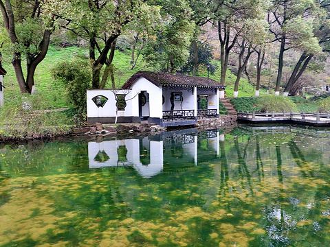 亭林园旅游景点图片