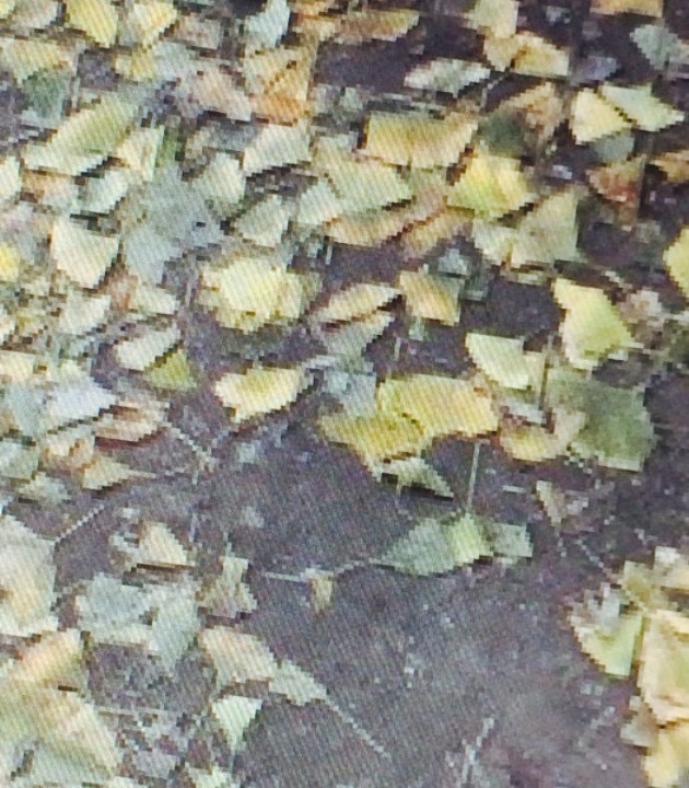 马家堡街道人口文化园