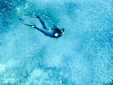Pescador Island