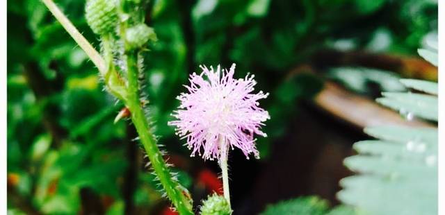 逸品时光咖啡馆(库充店)