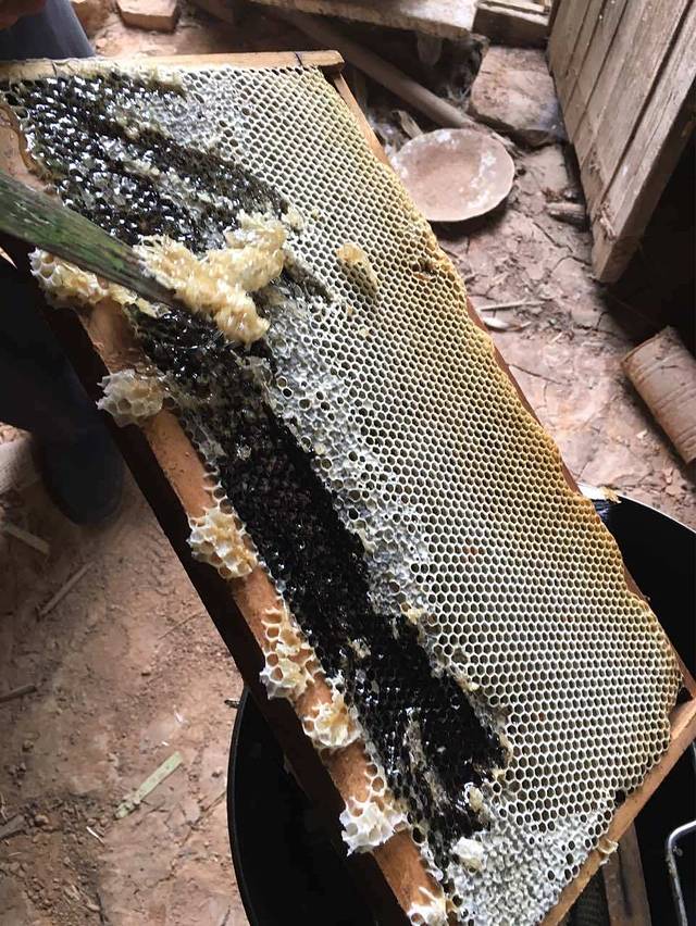 百年巴府火锅(潞城店)