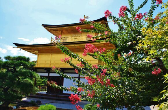 麦当劳(金閣寺店)