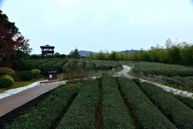 湖州吴越邱城遗址文化园