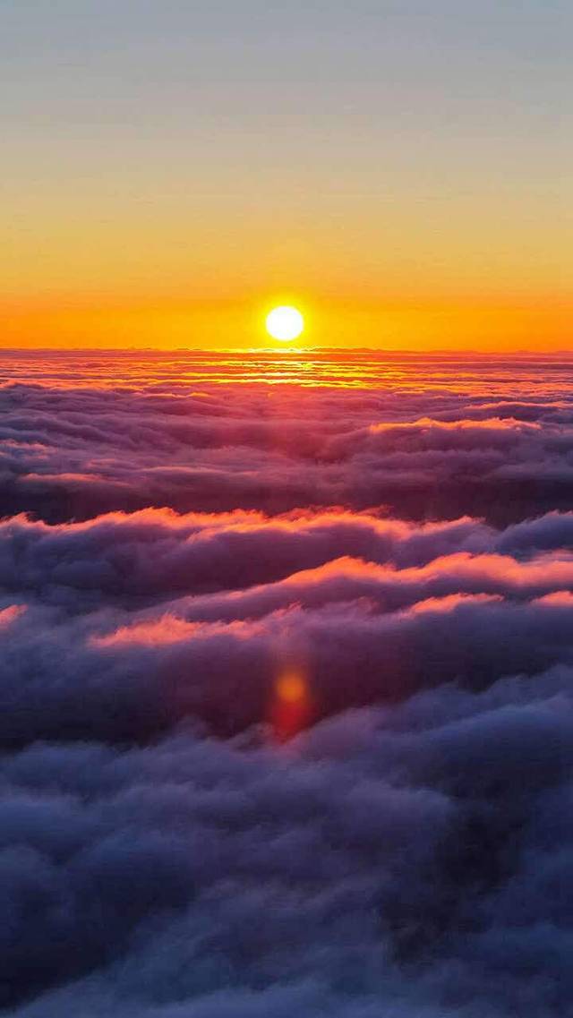 大胖涮锅(清苑店)