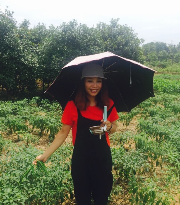 嘉丰农家乐(株洲方特店)