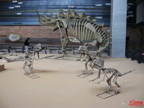 朝阳古生物化石博物馆