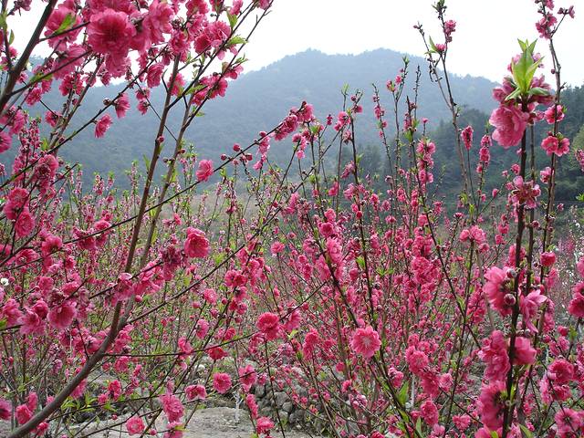 北溪文苑风景区