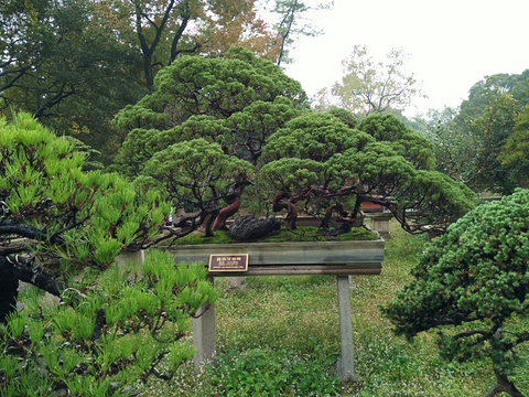 万景山庄旅游景点图片