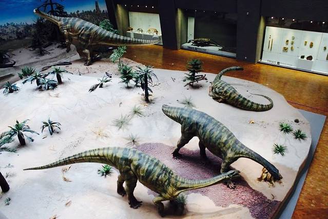 斯图加特国立自然博物馆