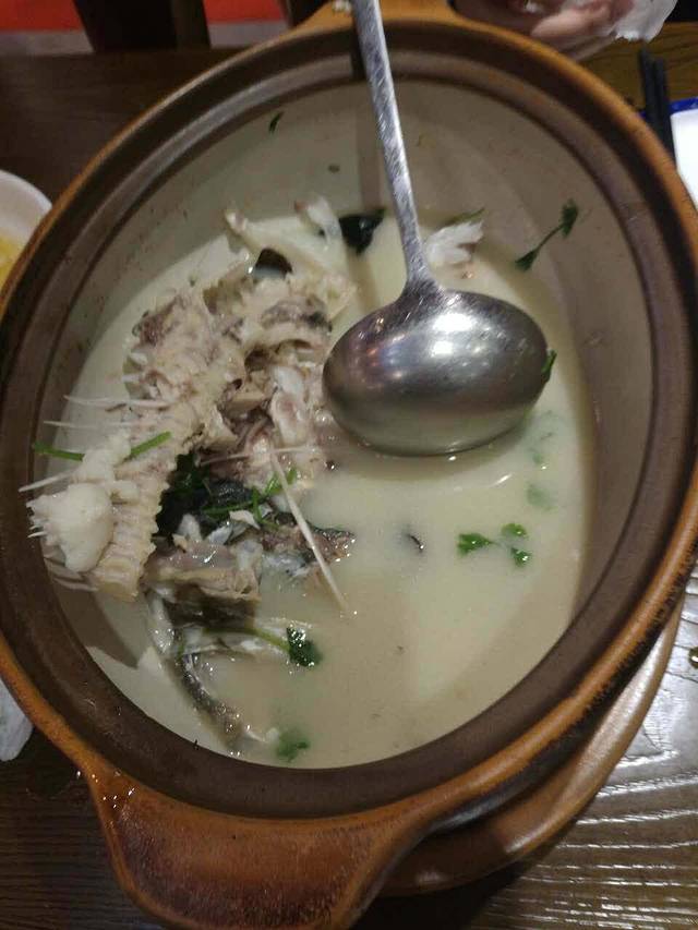 胖鱼头(长虹路店)