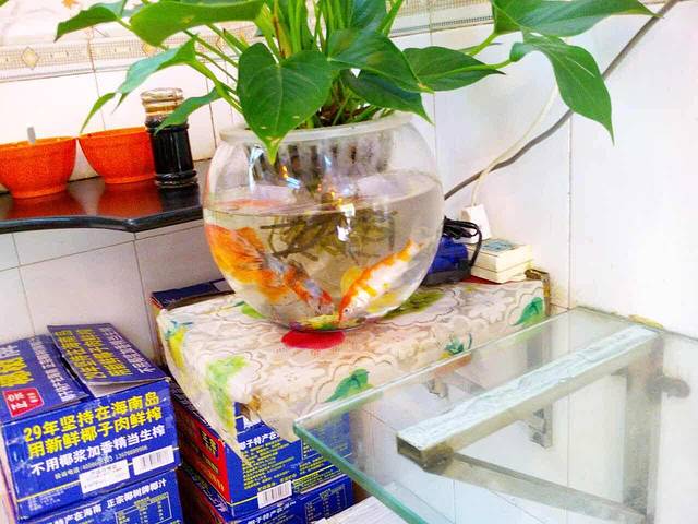 金螺记(圭贝店)