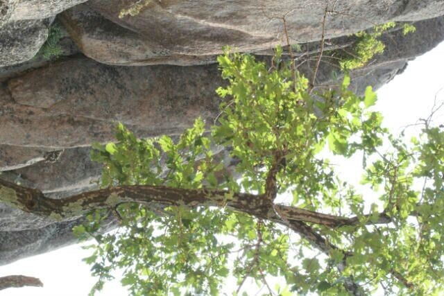 胜山要塞国家森林公园