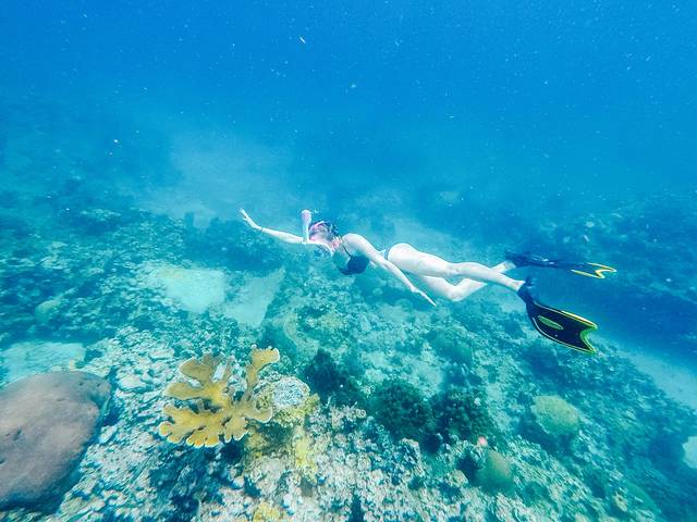 Anse Chastanet Beach and Reef