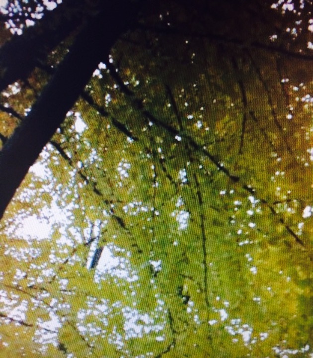 岳各庄街心公园