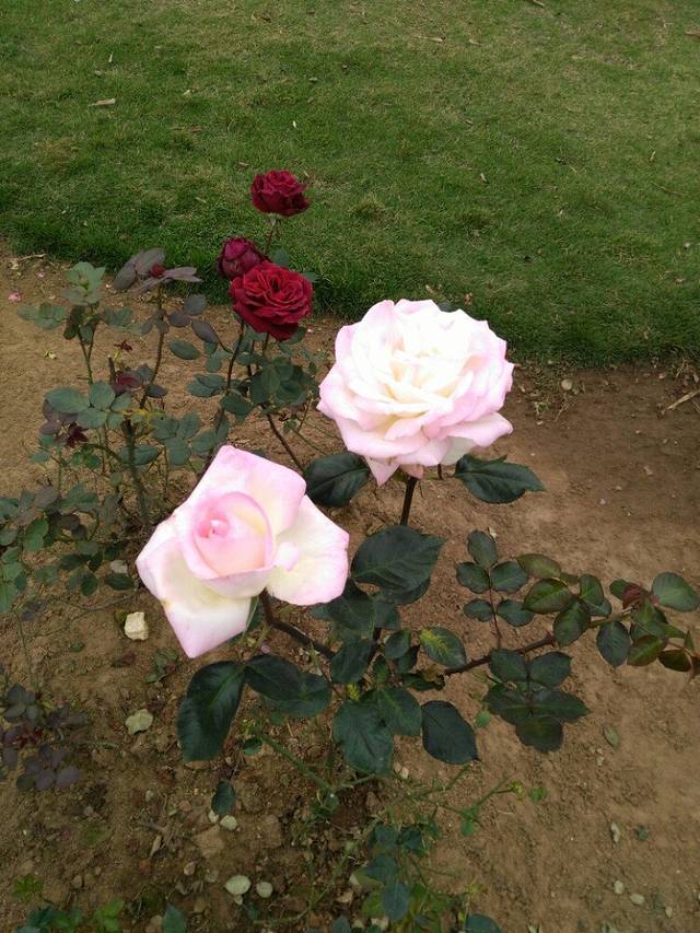 三岭山国家森林公园