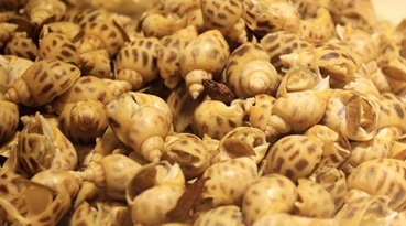 嘉乐迪巴西烤肉