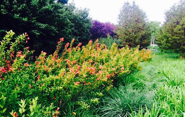 北京绿道三山五园