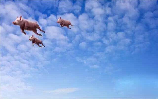 肯德基(宁晋店)