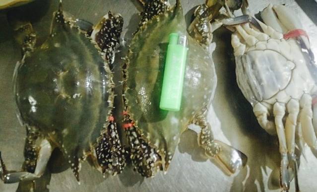 三乐海鲜水饺馆