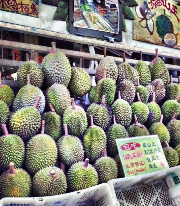 MUSANG KING猫山王榴莲